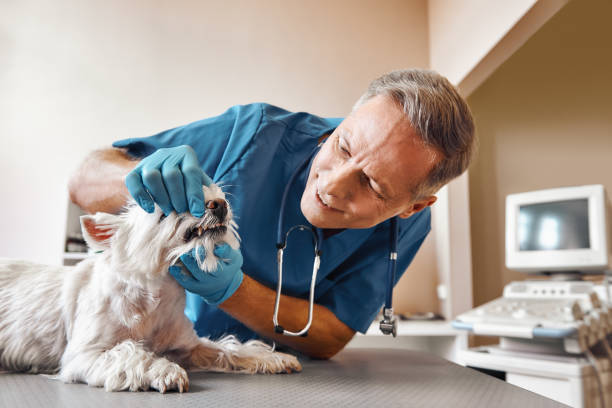 24-Hour Dental Clinic Near Me in NM